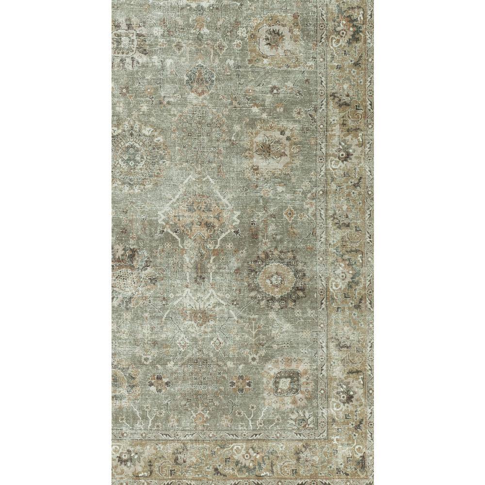 Home Decorators Collection Fog Sage 8 ft. 10 in. x 12 ft. Area Rug