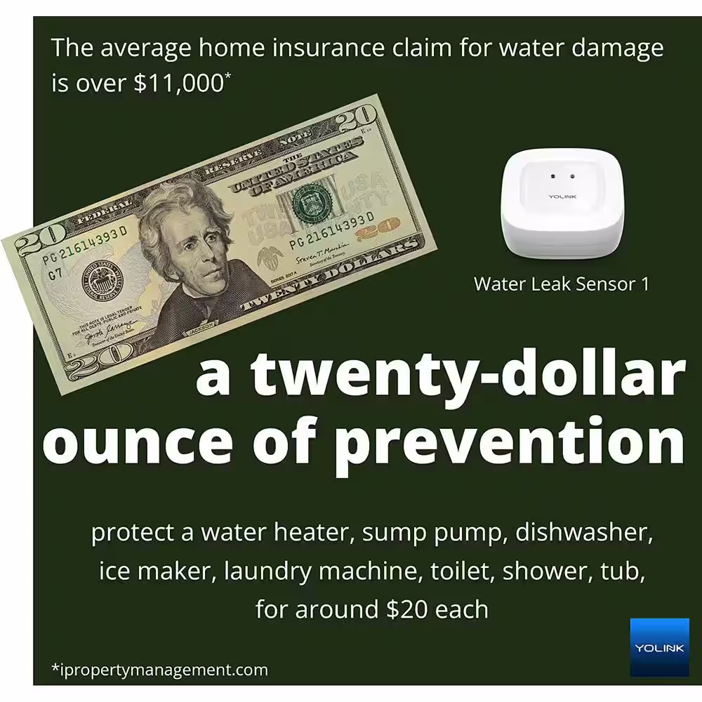 None Water Leak Detector 1/4 Mile World's Longest Range, Wireless Smart Water Leak Sensor Alexa, IFTTT, Hub Required
