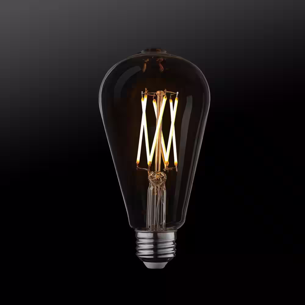 Globe Electric 40 Watt Equivalent S60 Dimmable Straight Filament Vintage Edison LED Light Bulb, Warm Amber Light