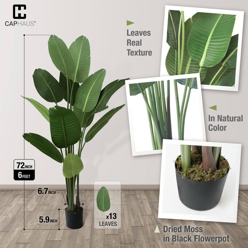 CAPHAUS 6 ft. Artificial Bird of Paradise Plant with 13 Trunks, Realistic Look & Easy Maintenance, Perfect for Home or Office