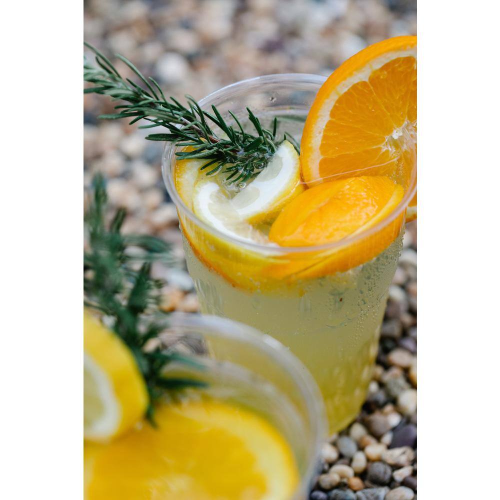 GREENER SETTINGS 12 oz. Clear Compostable Disposable Cups, Cold Drink  [50/Pack, 16/Packs/Carton]