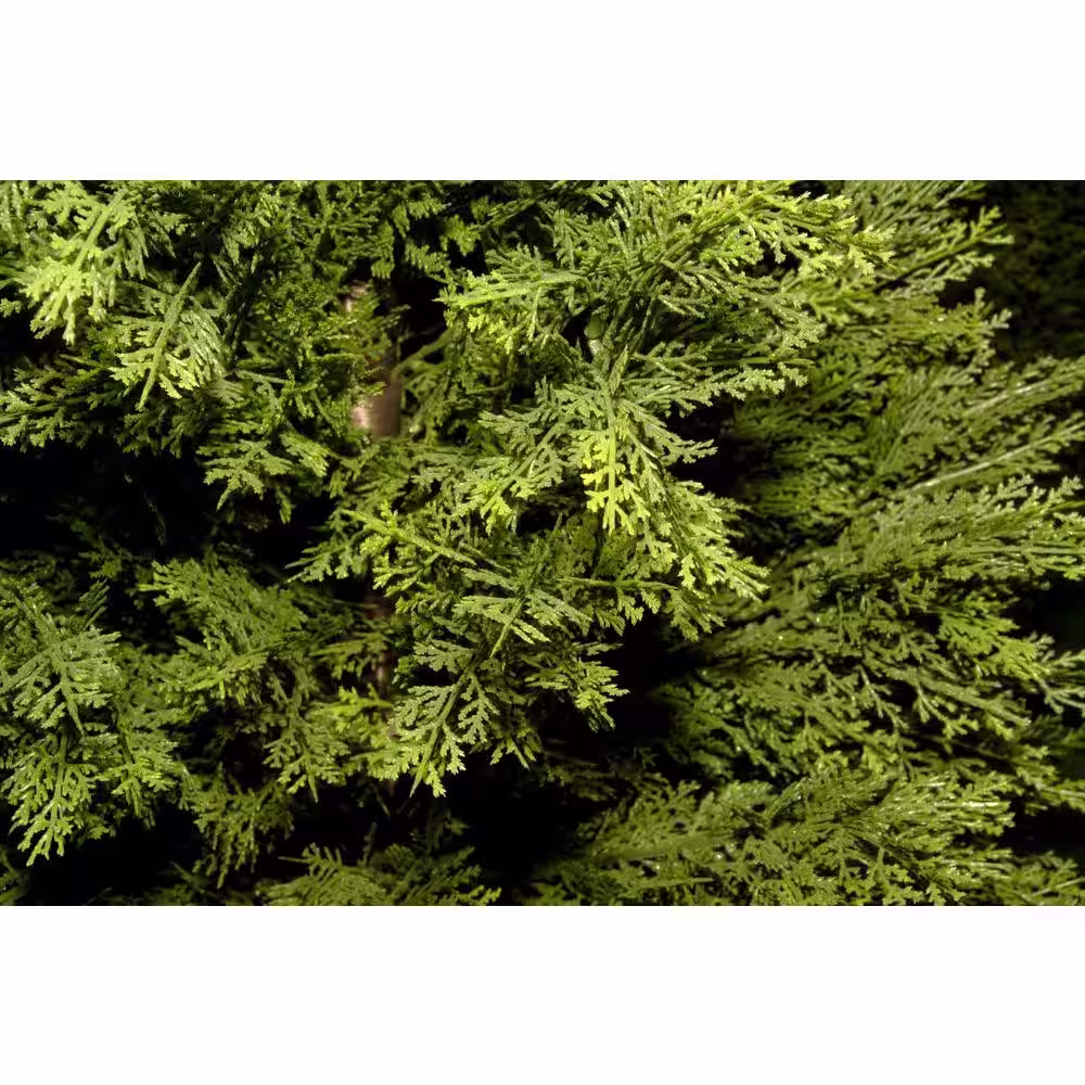 National Tree Company 48 in. Artificial Arborvitae Tree in Dark Green Round Growers Pot