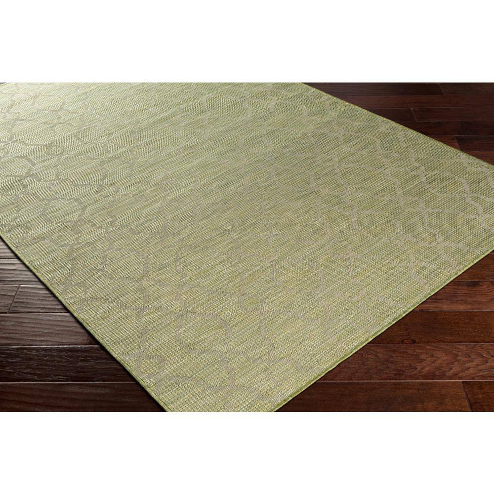 Artistic Weavers Araluen Green 3 ft. x 7 ft. Indoor/Outdoor Area Rug