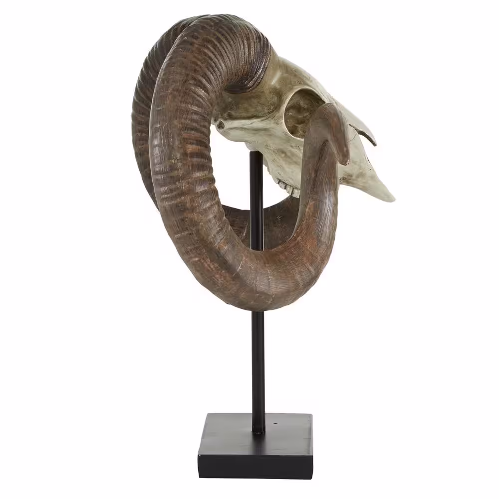 Litton Lane Brown Polystone Skull Ram Sculpture