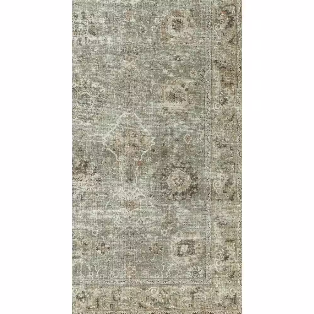 Home Decorators Collection Fog Sage 6.58 ft. x 9 ft. Area Rug
