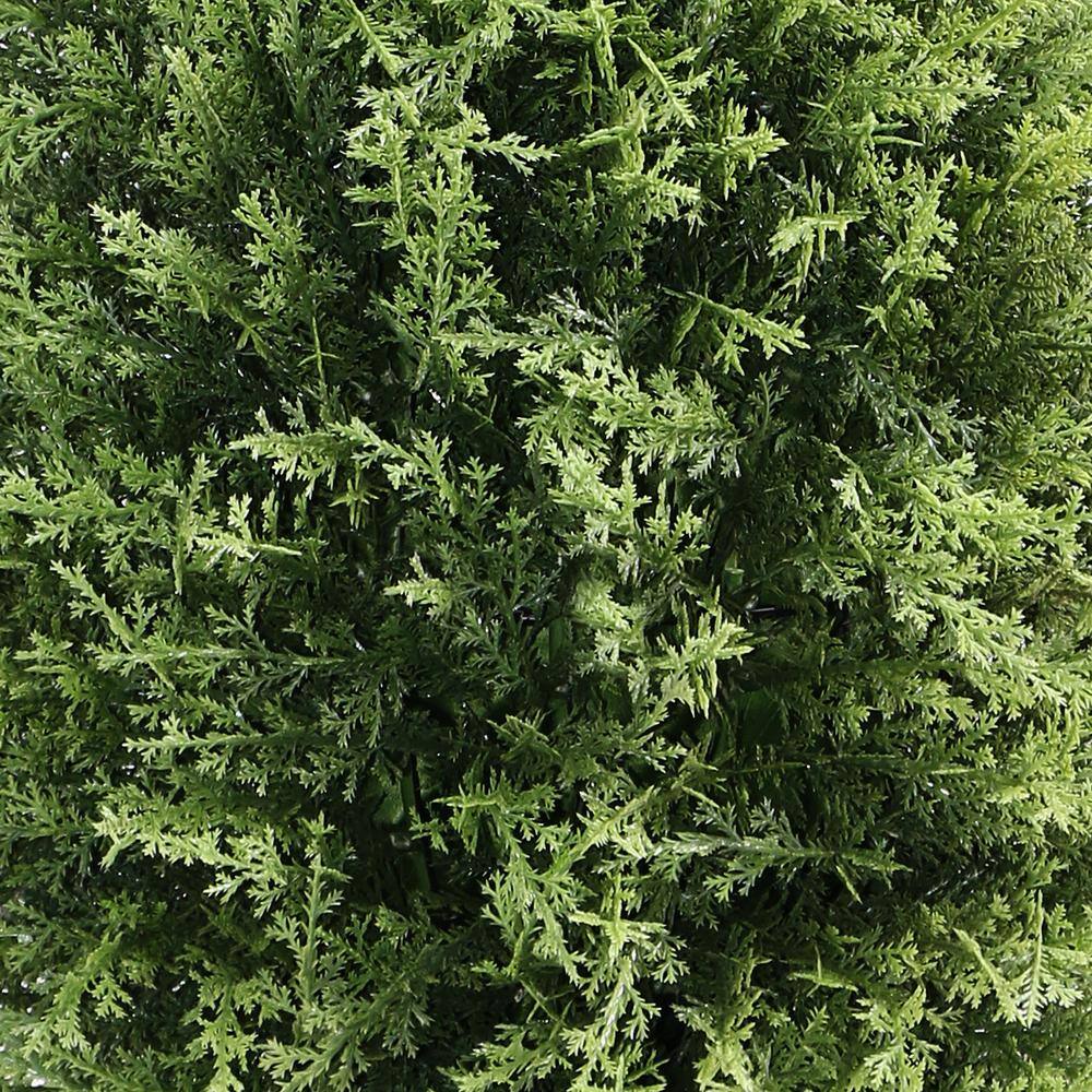 National Tree Company 32