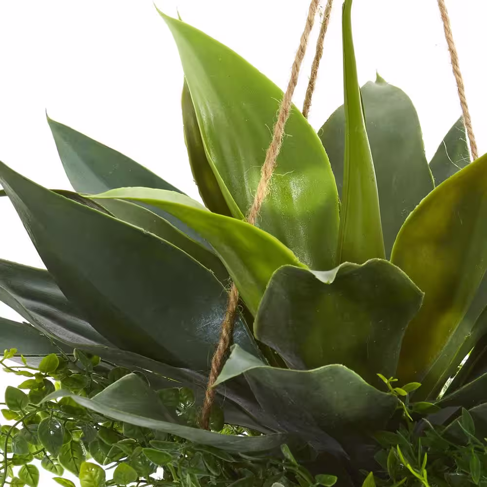 Nearly Natural Indoor/Outdoor Agave and Maiden Hair Artificial Plant in Hanging Basket