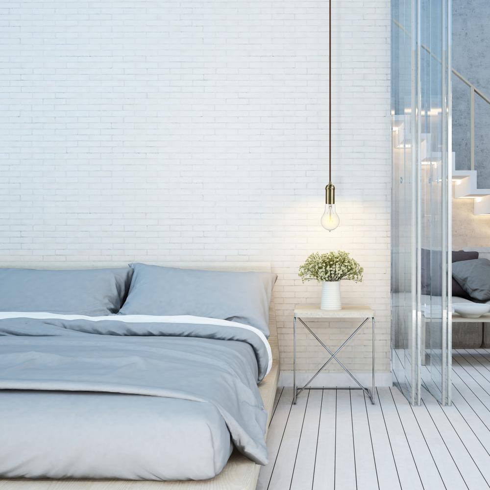 Globe Electric 60 Watt A19 Dimmable Cage Filament Vintage Edison Incandescent Light Bulb, Warm Candle Light (12-Pack)