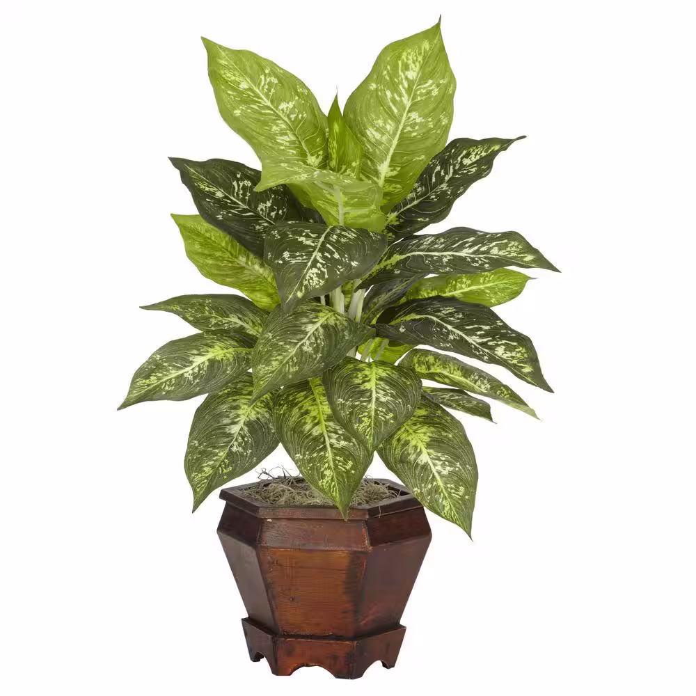 Nearly Natural 20.5 in. Artificial H Green Dieffenbachia Silk Plant with Wood Vase (Set of 2)