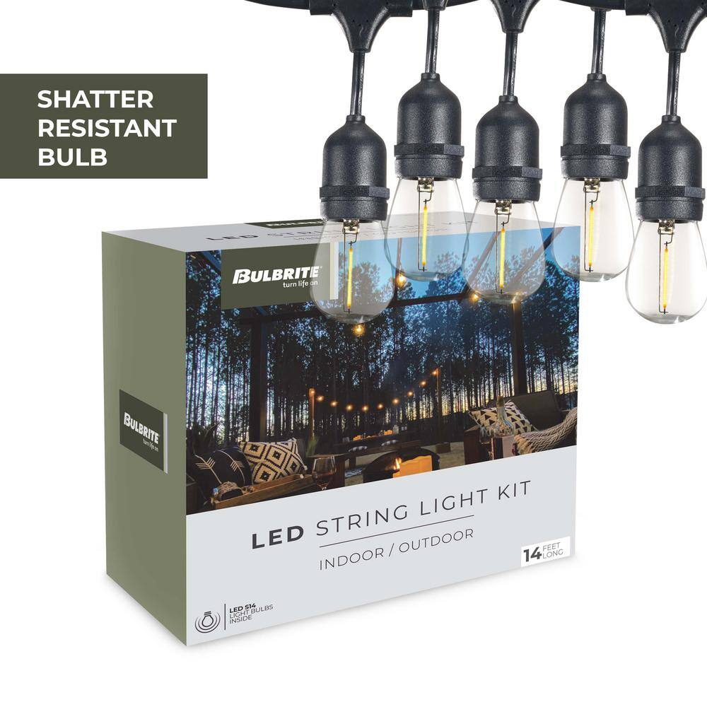 Bulbrite 10-Light 30 ft. Black Indoor/Outdoor Plug-in S14 String LightÂ with Clear LED Bulbs (2-Pack)