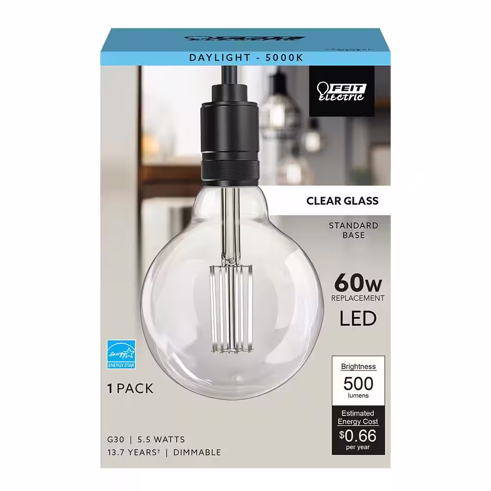 Feit Electric 60-Watt Equivalent G30 Dimmable Cage Filament Clear Glass E26 Vintage Edison LED Light Bulb, Daylight