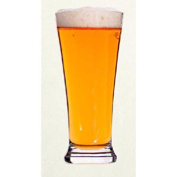 None Titan 14 oz. Polycarbonate Pilsner (Set of 6)