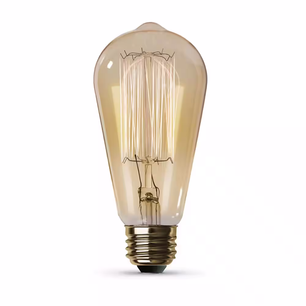 Feit Electric 60-Watt ST19 Dimmable Cage Filament Amber Glass E26 Vintage Edison Incandescent Light Bulb Soft White 2100K (24-Pack)