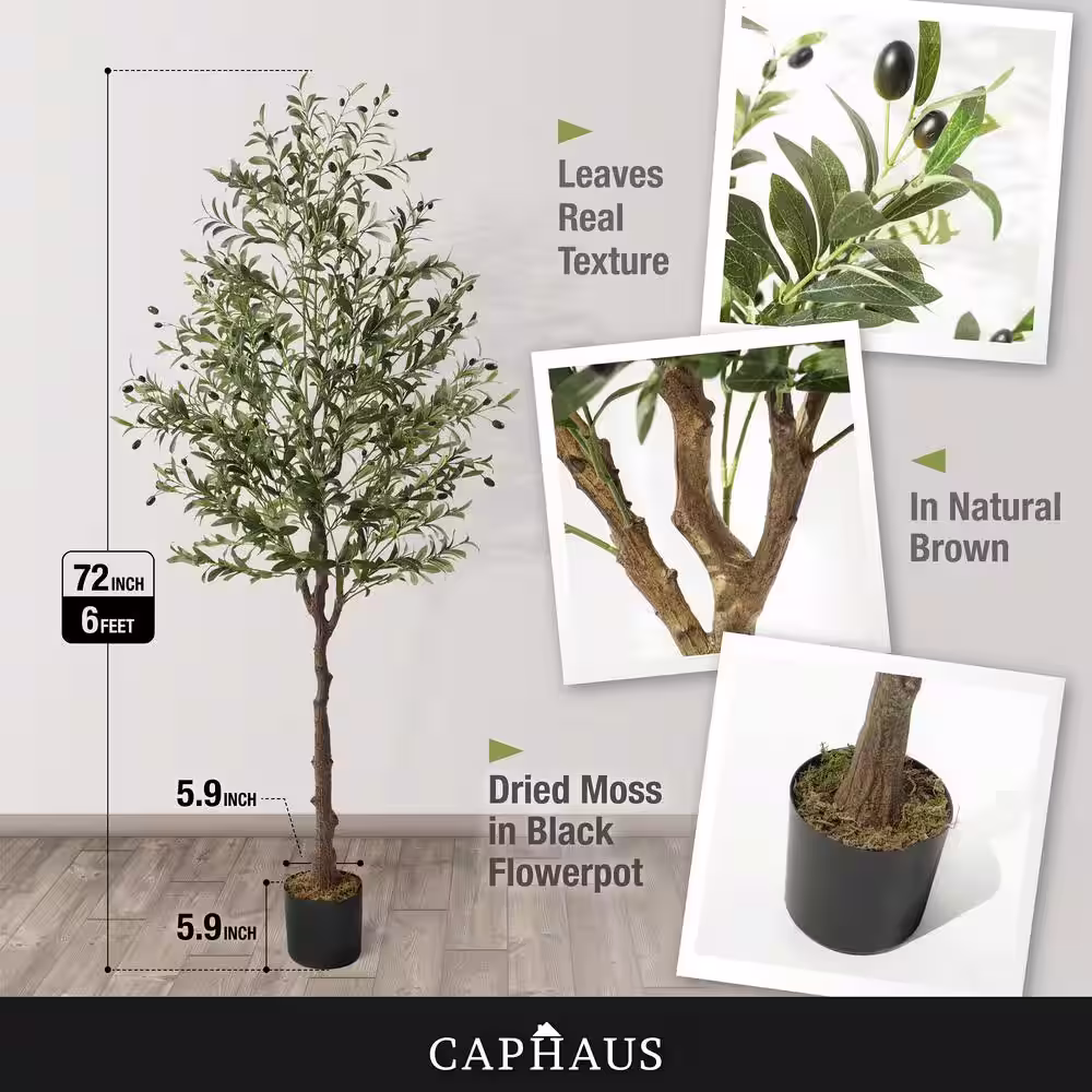 None 6 ft. Green Olive Artificial Tree, Faux Plant in Pot, Faux Olive Branch and Fruit with Dried Moss for Indoor Home Office