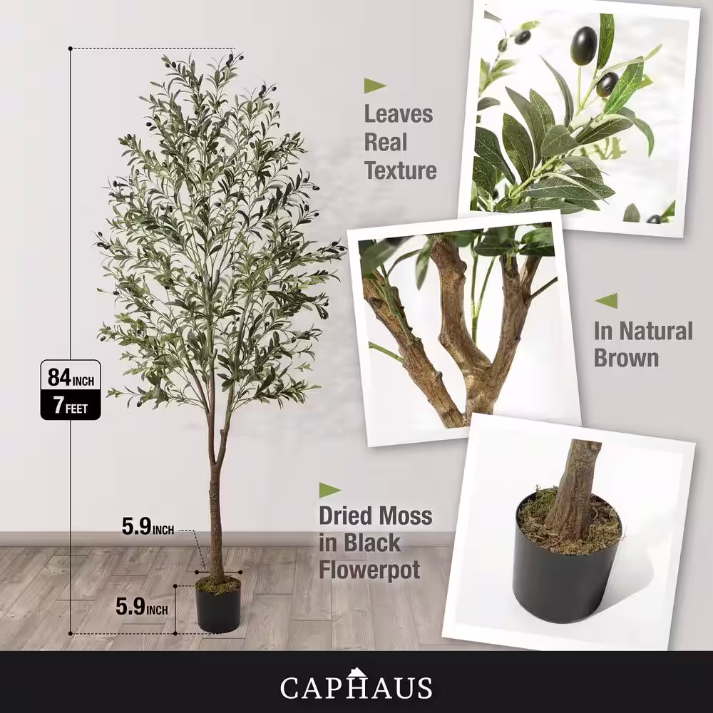 None 7 ft. Green Olive Artificial Tree, Faux Plant in Pot, Faux Olive Branch and Fruit with Dried Moss for Indoor Home Office