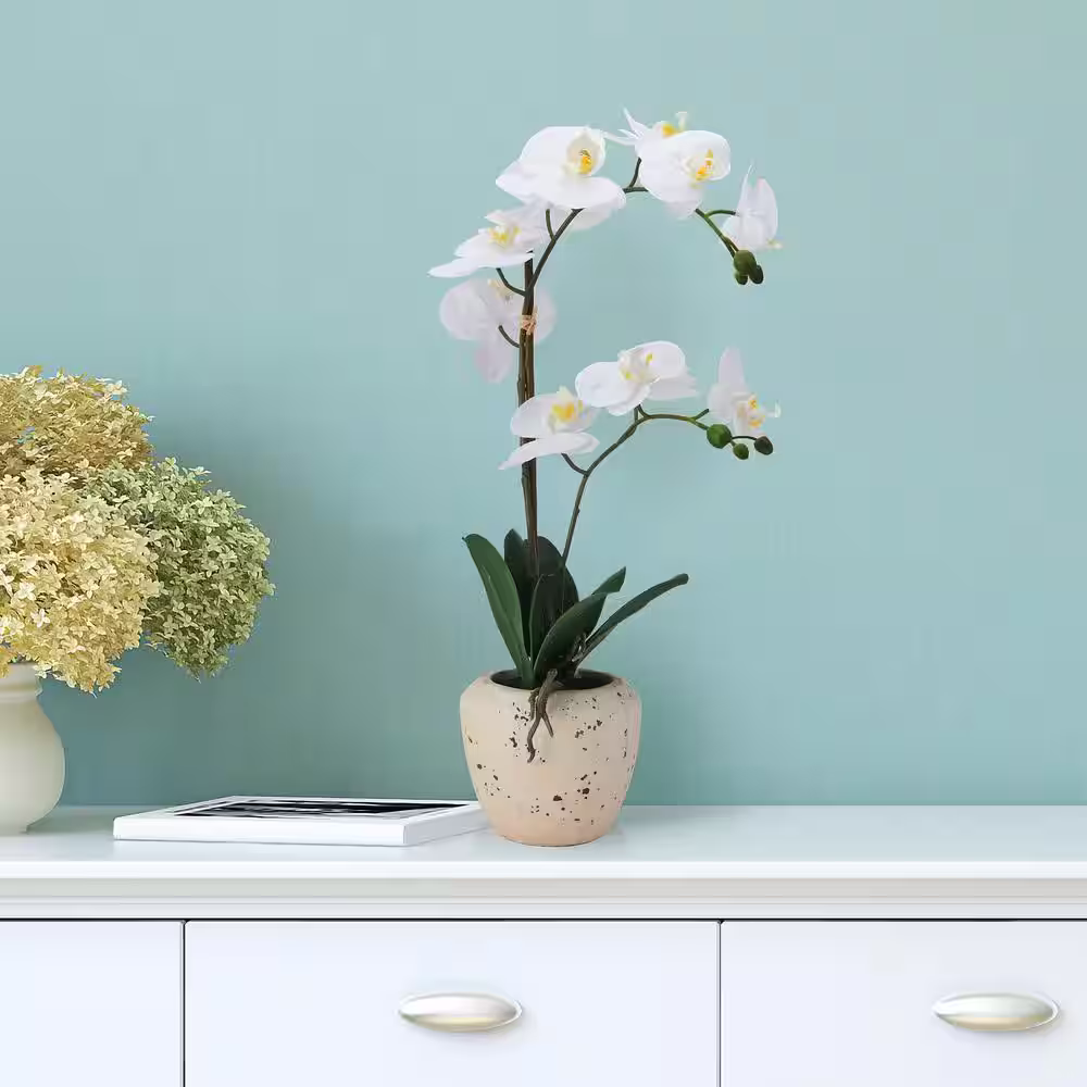 Mikasa Real Touch 22- Inch White/Yellow Artificial Phalaenopsis Orchid, Faux Aged Cement Pot, Double Branch