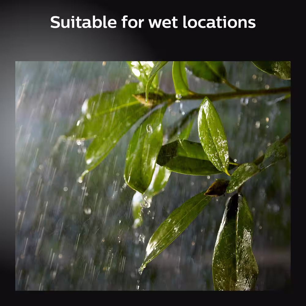 Philips Hue Discover Outdoor Smart Color Changing Flood Light with Integrated LED (1-Pack)