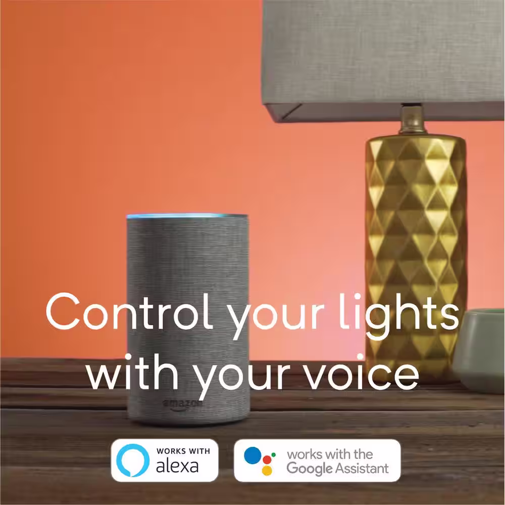 Wyze Smart Bulb 2-Pack + Google Nest Mini (2nd Gen) Smart Speaker Charcoal
