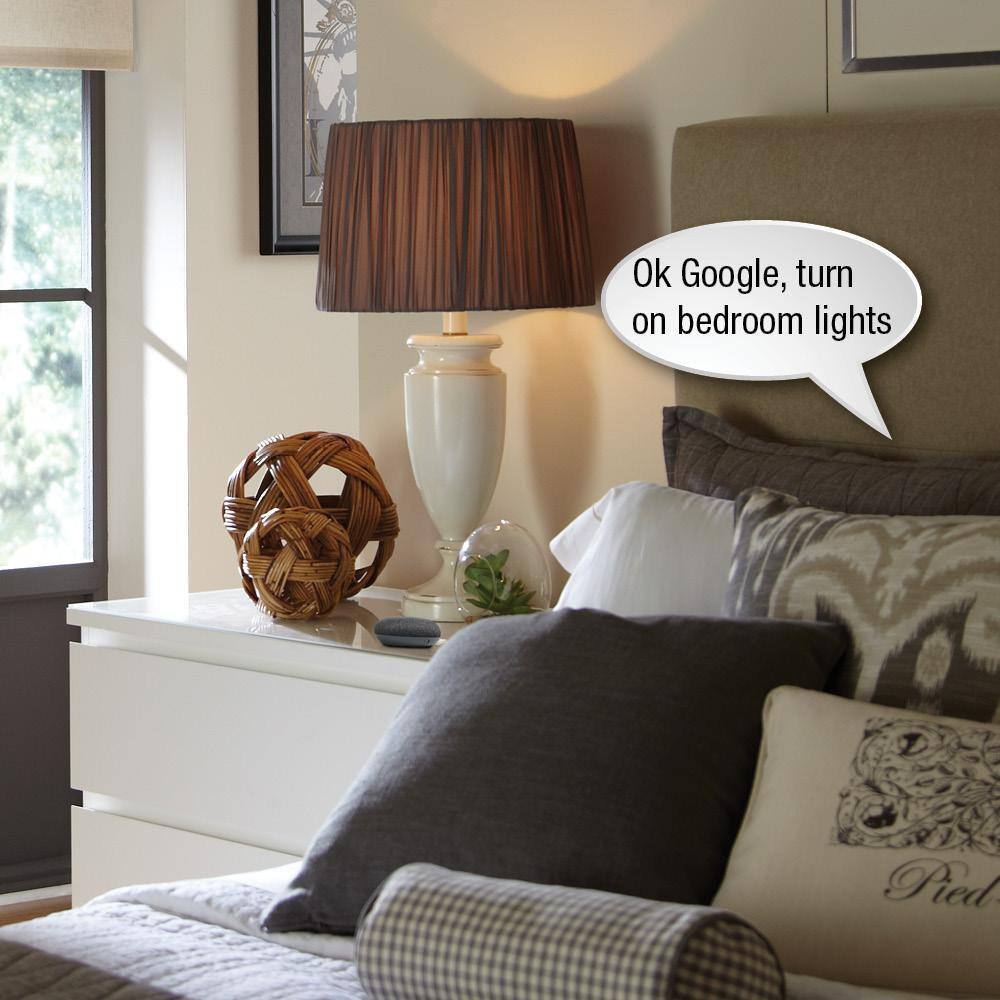 Lutron Caseta Smart Lighting Dimmer Switch (2 Count) Starter Kit w/ Google Mini Charcoal (CASETA2W-GMCHCL)